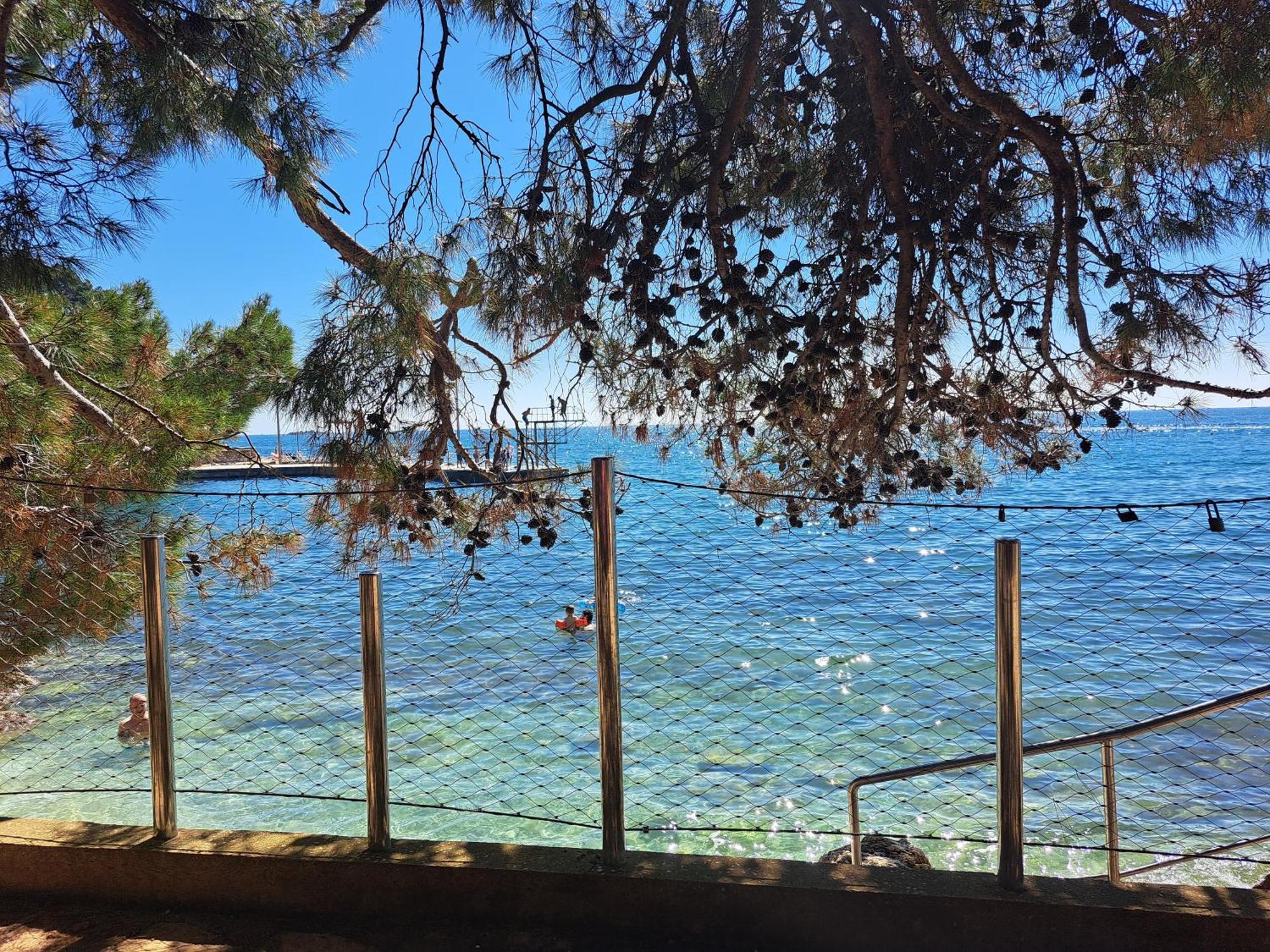Pinia-marina