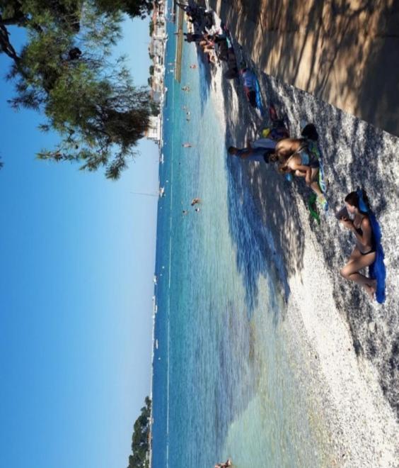 Pinia-marina * Poreč