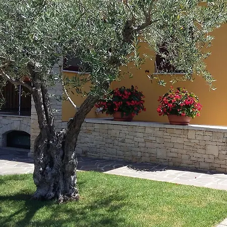 Studio Apartments Pinia-Marina Porec Exterior photo