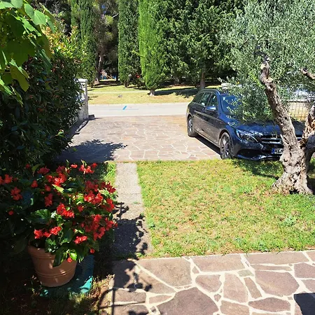 Studio Apartments Pinia-Marina Porec Exterior photo