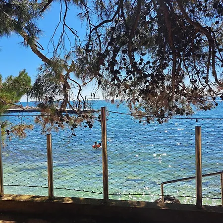 Studio Apartments Pinia-Marina Porec Room photo