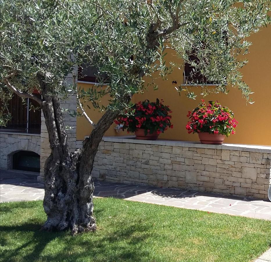 Pinia-marina Appartement Poreč